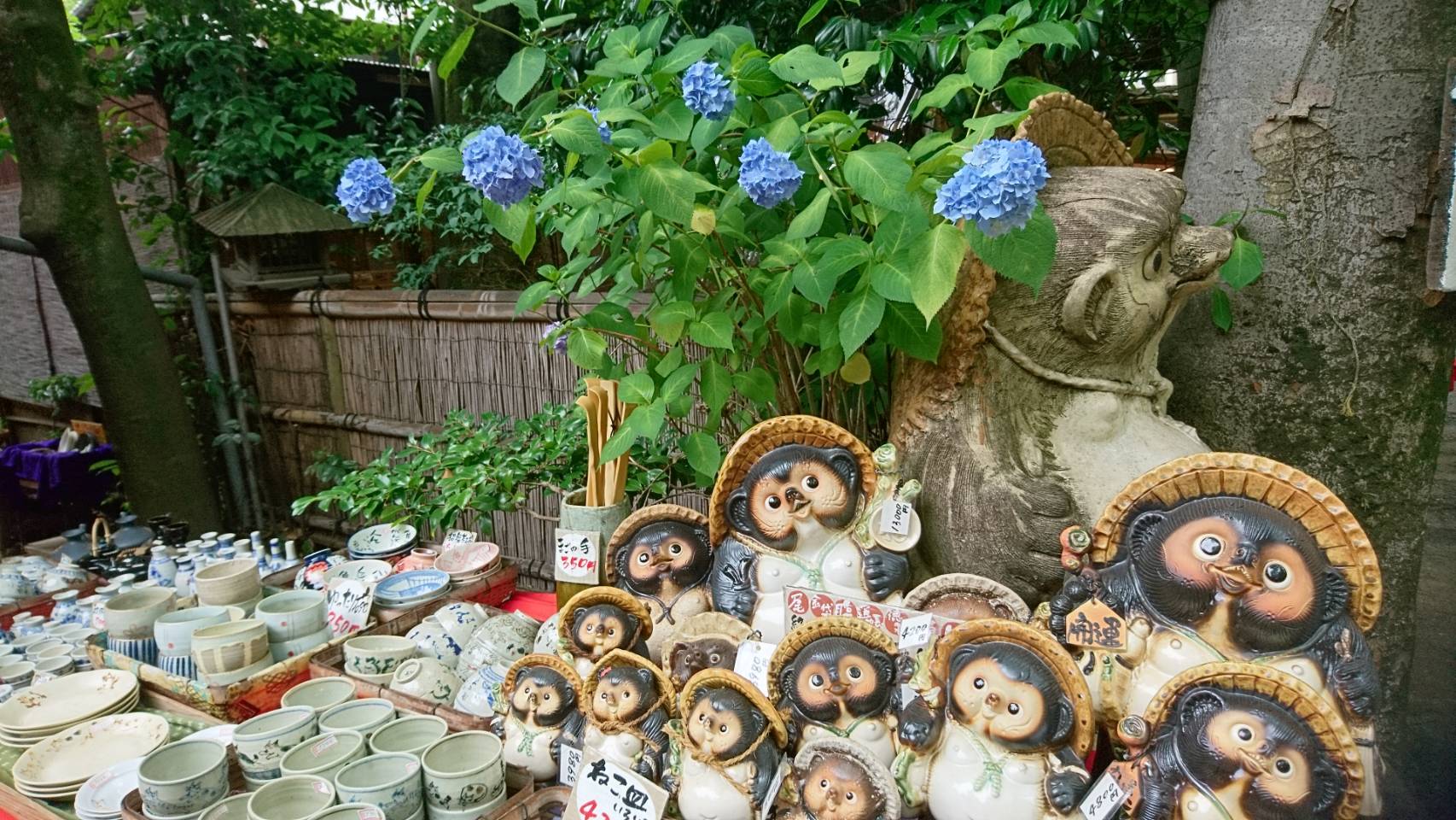 むさし野深大寺メイン画像3